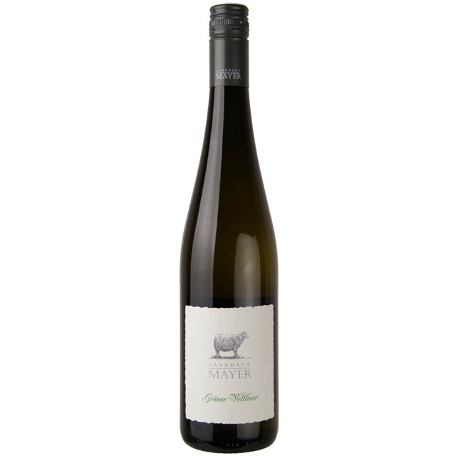 Gruner Veltliner Wine